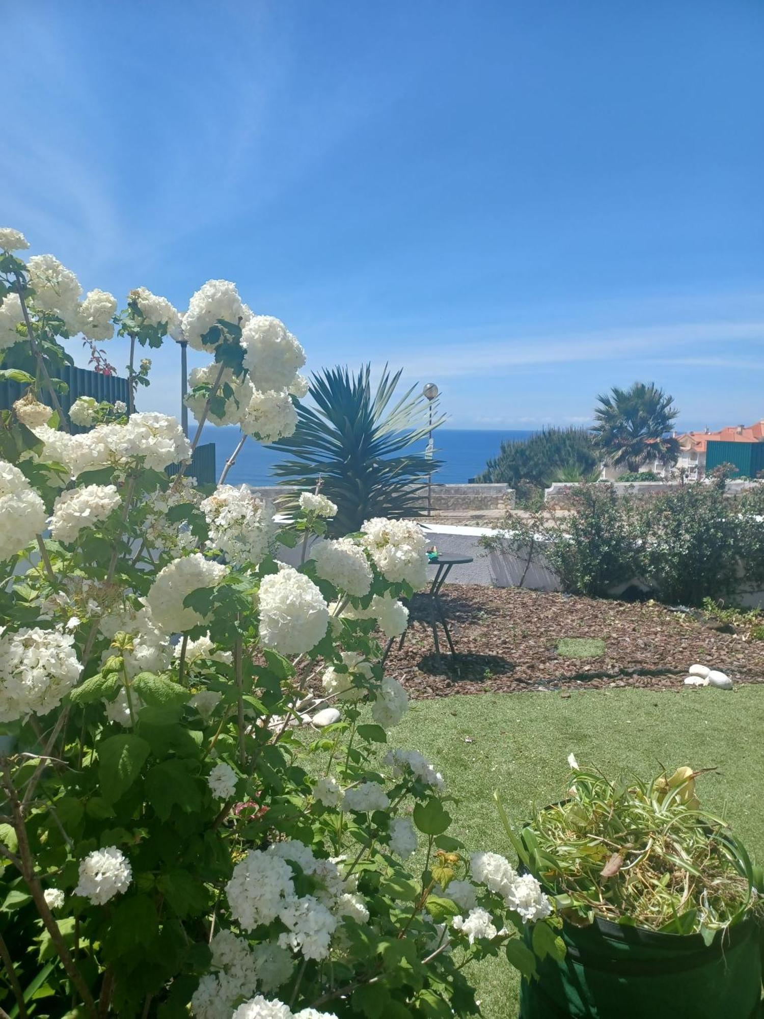 Ericeira Su Villa'S Exterior foto
