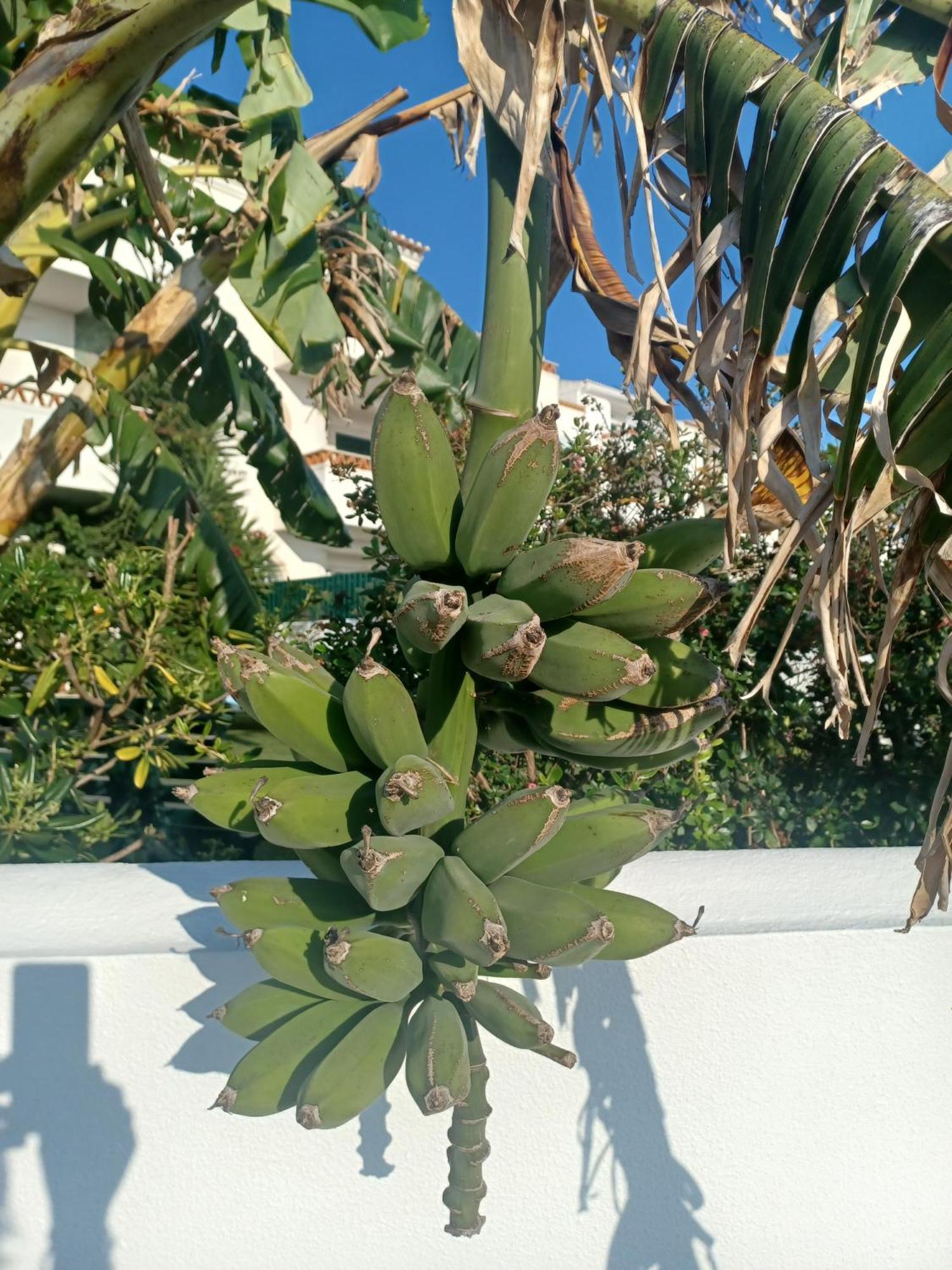 Ericeira Su Villa'S Exterior foto